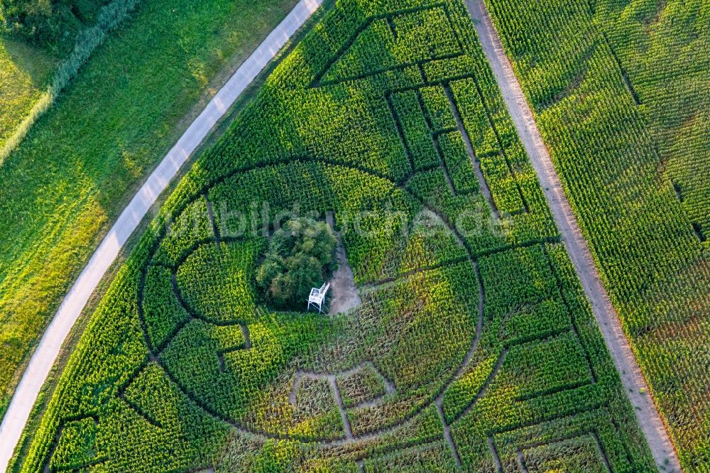 Luftbild Dettenheim - Irrgarten - Maislabyrinth bei Onkel Oskar der Bolz Landhandel GmbH auf einem Feld in Dettenheim im Bundesland Baden-Württemberg, Deutschland