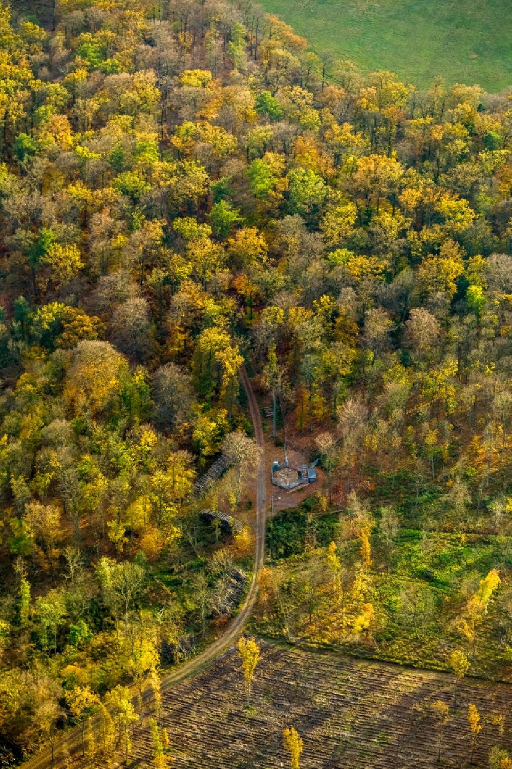 Luftbild Ivenack - Ivenacker Eichen im Herbst in Ivenack im Bundesland Mecklenburg-Vorpommern