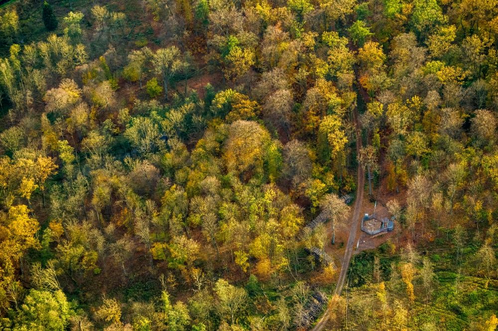 Luftaufnahme Ivenack - Ivenacker Eichen im Herbst in Ivenack im Bundesland Mecklenburg-Vorpommern
