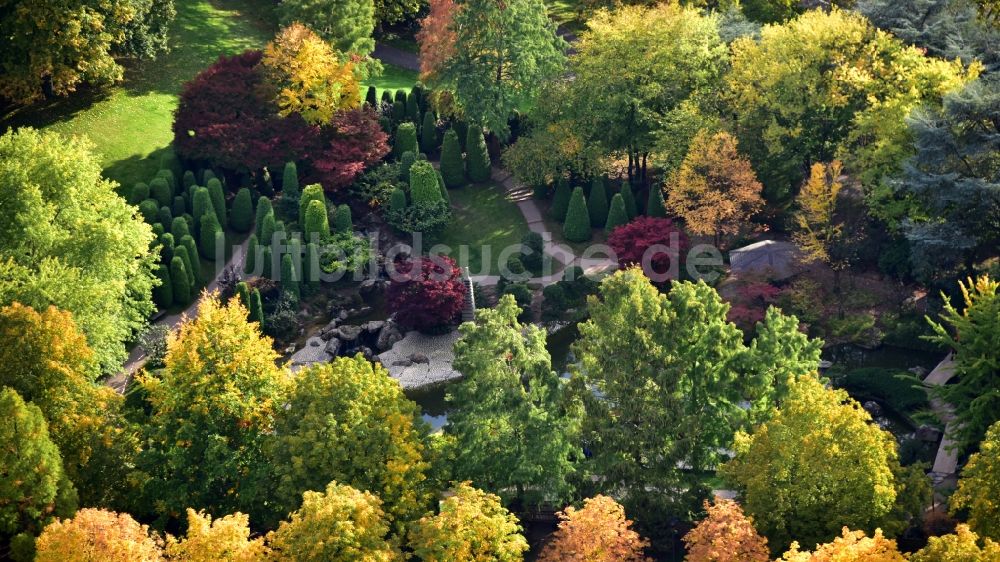 Bonn von oben - Japanischer Garten in der Rheinaue in Bonn im Bundesland Nordrhein-Westfalen, Deutschland