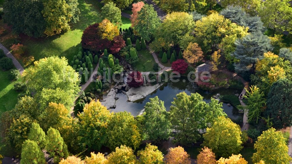 Luftbild Bonn - Japanischer Garten in der Rheinaue in Bonn im Bundesland Nordrhein-Westfalen, Deutschland