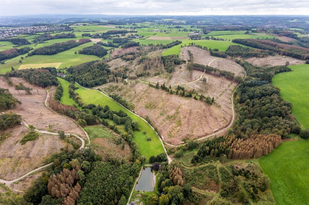 Luftaufnahme Breckerfeld - Kahle Fläche eines gerodeten Waldbestandes in Breckerfeld im Bundesland Nordrhein-Westfalen, Deutschland