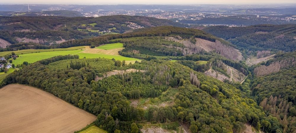 Luftaufnahme Breckerfeld - Kahle Fläche eines gerodeten Waldbestandes in Breckerfeld im Bundesland Nordrhein-Westfalen, Deutschland
