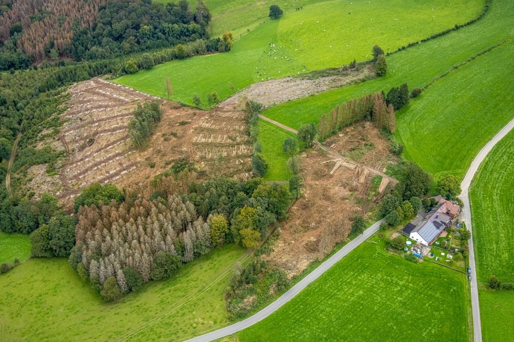 Luftbild Breckerfeld - Kahle Fläche eines gerodeten Waldbestandes in Breckerfeld im Bundesland Nordrhein-Westfalen, Deutschland