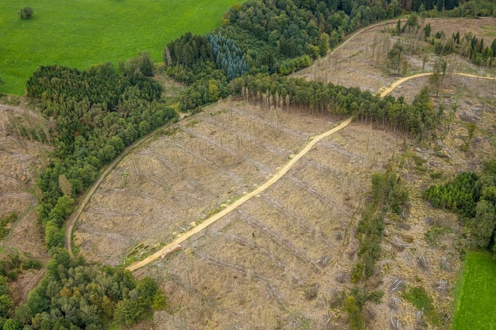 Breckerfeld aus der Vogelperspektive: Kahle Fläche eines gerodeten Waldbestandes in Breckerfeld im Bundesland Nordrhein-Westfalen, Deutschland