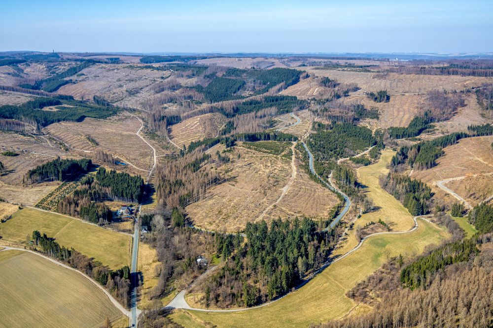 Ramsbeck aus der Vogelperspektive: Kahle Fläche eines gerodeten Waldbestandes in Ramsbeck im Bundesland Nordrhein-Westfalen, Deutschland