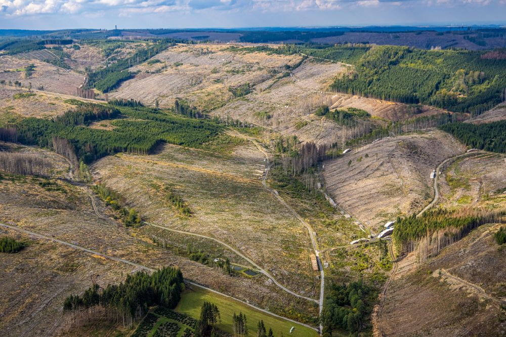 Luftaufnahme Ramsbeck - Kahle Fläche eines gerodeten Waldbestandes in Ramsbeck im Bundesland Nordrhein-Westfalen, Deutschland
