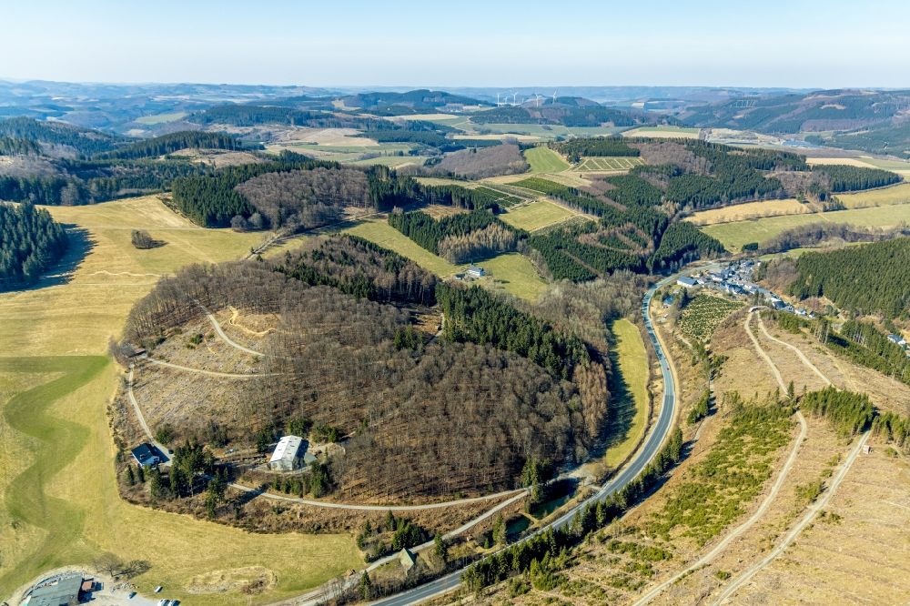 Luftbild Schmallenberg - Kahle Fläche eines gerodeten Waldbestandes beim Ski und Freizeitgebiet Hohe Lied in Schmallenberg im Bundesland Nordrhein-Westfalen, Deutschland
