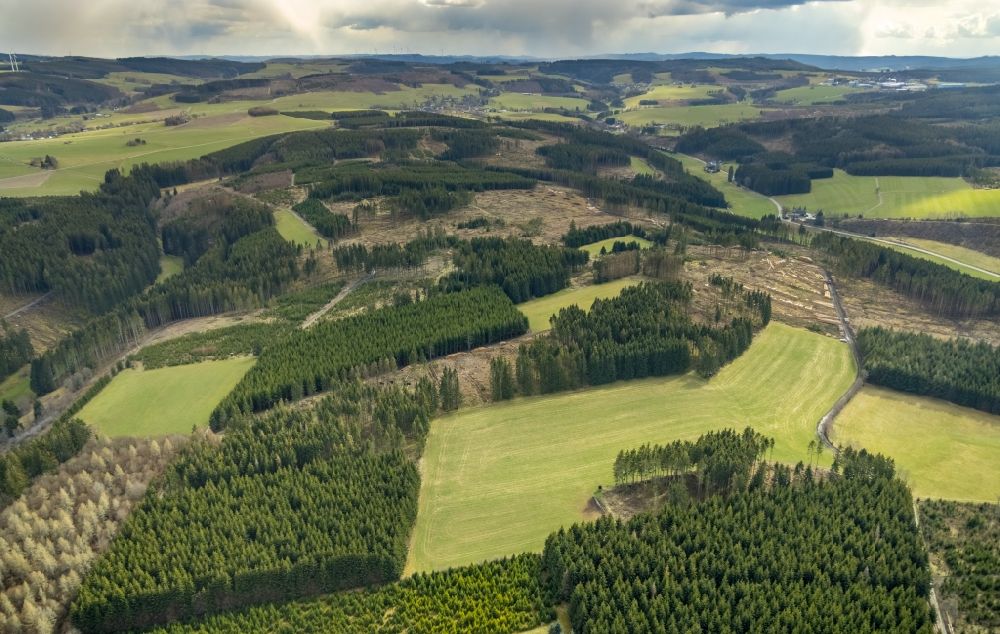 Luftbild Berghausen - Kahle Fläche eines gerodeten Waldbestandes in Berghausen im Bundesland Nordrhein-Westfalen, Deutschland