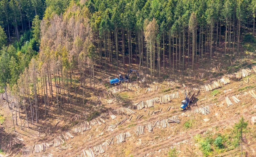 Bestwig von oben - Kahle Fläche eines gerodeten Waldbestandes in Bestwig im Bundesland Nordrhein-Westfalen, Deutschland