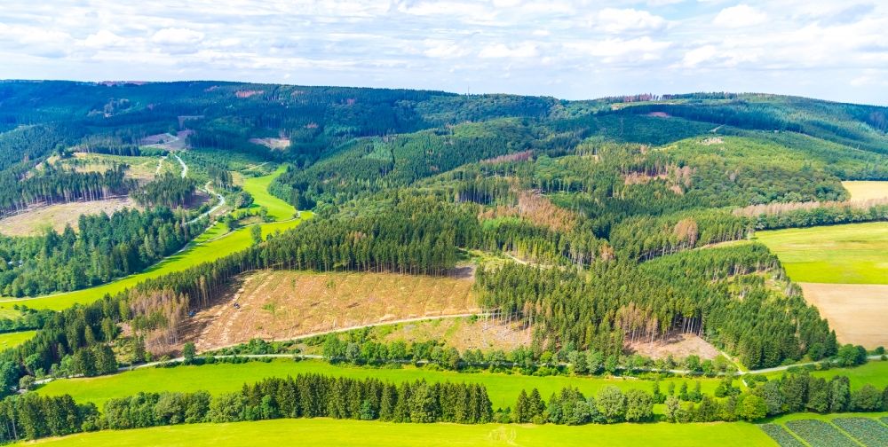 Luftbild Bestwig - Kahle Fläche eines gerodeten Waldbestandes in Bestwig im Bundesland Nordrhein-Westfalen, Deutschland