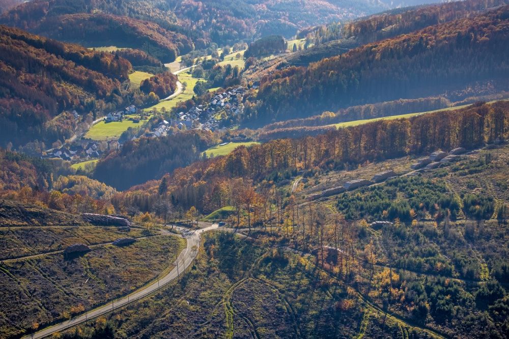 Luftbild Bontkirchen - Kahle Fläche eines gerodeten Waldbestandes in Bontkirchen im Bundesland Nordrhein-Westfalen, Deutschland