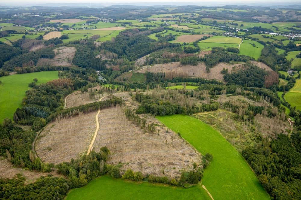 Breckerfeld von oben - Kahle Fläche eines gerodeten Waldbestandes in Breckerfeld im Bundesland Nordrhein-Westfalen, Deutschland