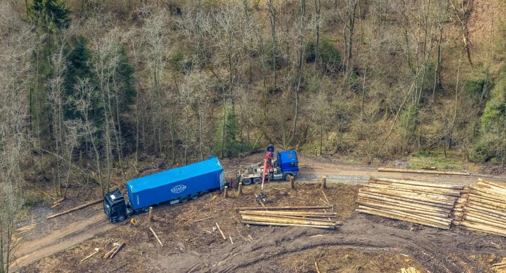 Kirchhundem von oben - Kahle Fläche eines gerodeten Waldbestandes mit einem LKW- Abtransport in der Wacholderheide Kihlenberg in Kirchhundem im Bundesland Nordrhein-Westfalen, Deutschland