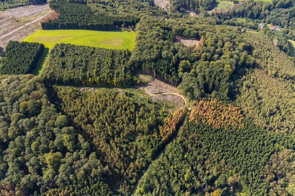 Luftbild Ennepetal - Kahle Fläche eines gerodeten Waldbestandes in Ennepetal im Bundesland Nordrhein-Westfalen, Deutschland