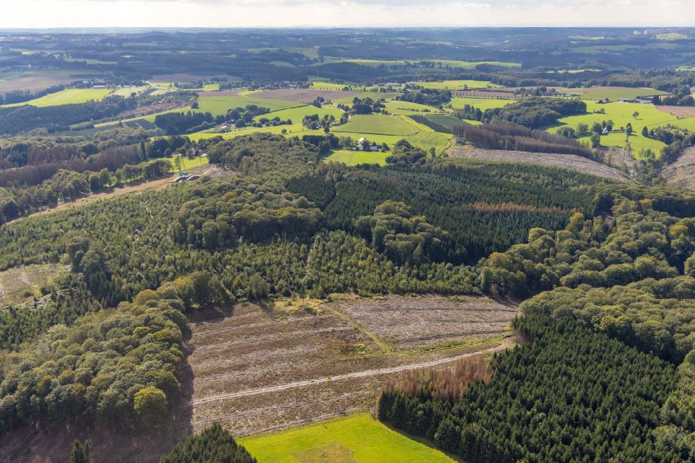 Luftaufnahme Ennepetal - Kahle Fläche eines gerodeten Waldbestandes in Ennepetal im Bundesland Nordrhein-Westfalen, Deutschland