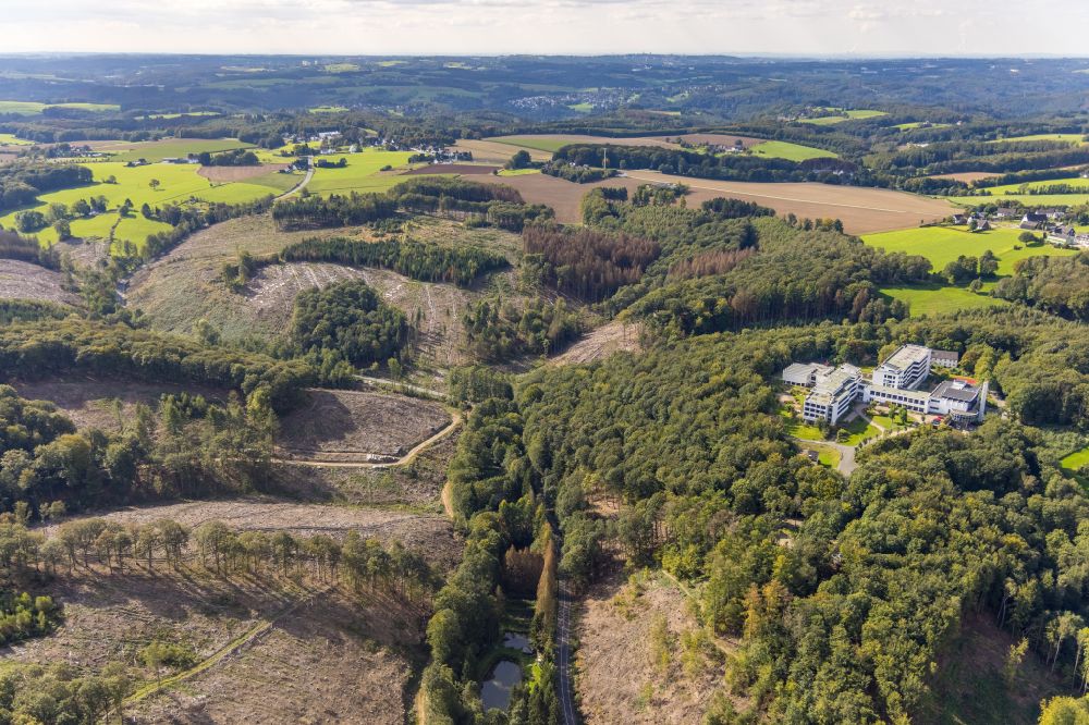 Ennepetal aus der Vogelperspektive: Kahle Fläche eines gerodeten Waldbestandes in Ennepetal im Bundesland Nordrhein-Westfalen, Deutschland
