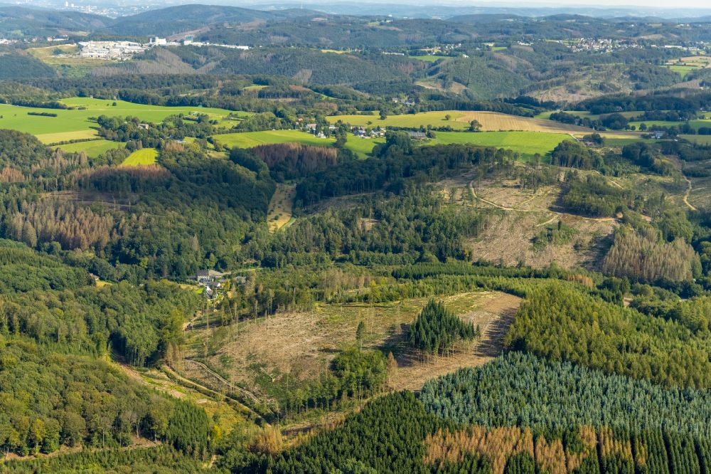 Ennepetal aus der Vogelperspektive: Kahle Fläche eines gerodeten Waldbestandes in Ennepetal im Bundesland Nordrhein-Westfalen, Deutschland