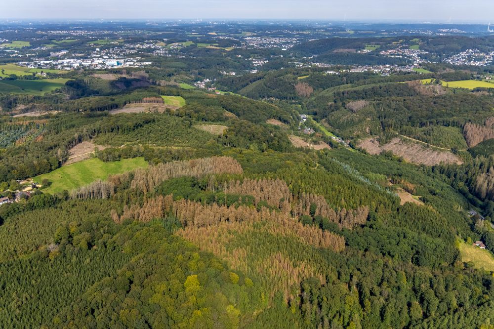 Luftbild Ennepetal - Kahle Fläche eines gerodeten Waldbestandes in Ennepetal im Bundesland Nordrhein-Westfalen, Deutschland