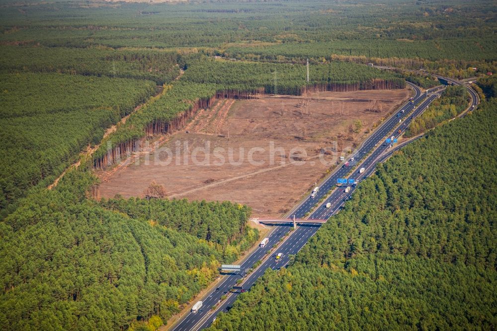 Fichtenwalde aus der Vogelperspektive: Kahle Fläche eines gerodeten Waldbestandes entlang der Autobahn A9 in Fichtenwalde im Bundesland Brandenburg, Deutschland