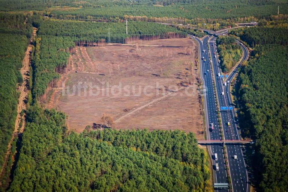 Luftbild Fichtenwalde - Kahle Fläche eines gerodeten Waldbestandes entlang der Autobahn A9 in Fichtenwalde im Bundesland Brandenburg, Deutschland