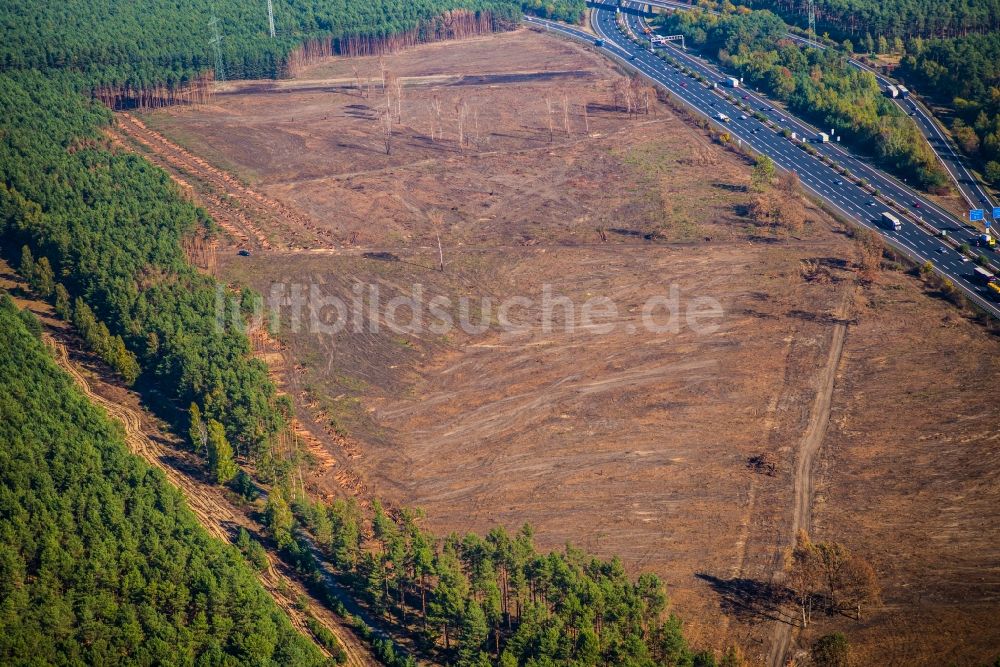 Luftaufnahme Fichtenwalde - Kahle Fläche eines gerodeten Waldbestandes entlang der Autobahn A9 in Fichtenwalde im Bundesland Brandenburg, Deutschland