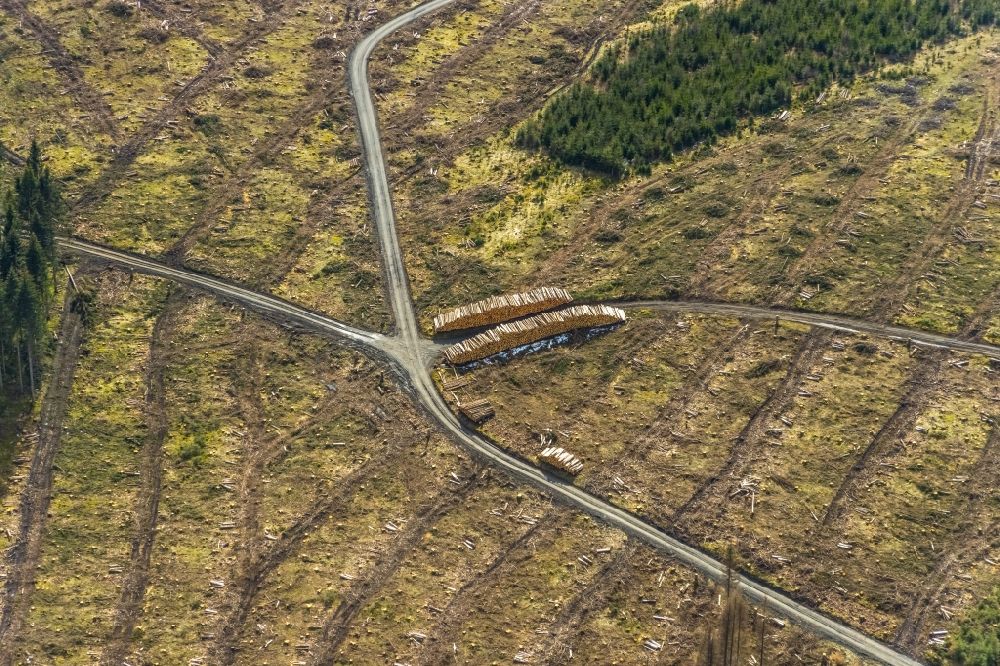 Luftbild Erndtebrück - Kahle Fläche eines gerodeten Waldbestandes in Erndtebrück im Bundesland Nordrhein-Westfalen, Deutschland