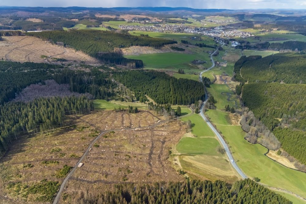 Luftaufnahme Erndtebrück - Kahle Fläche eines gerodeten Waldbestandes in Erndtebrück im Bundesland Nordrhein-Westfalen, Deutschland