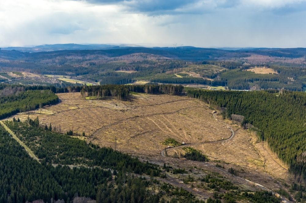 Erndtebrück von oben - Kahle Fläche eines gerodeten Waldbestandes in Erndtebrück im Bundesland Nordrhein-Westfalen, Deutschland