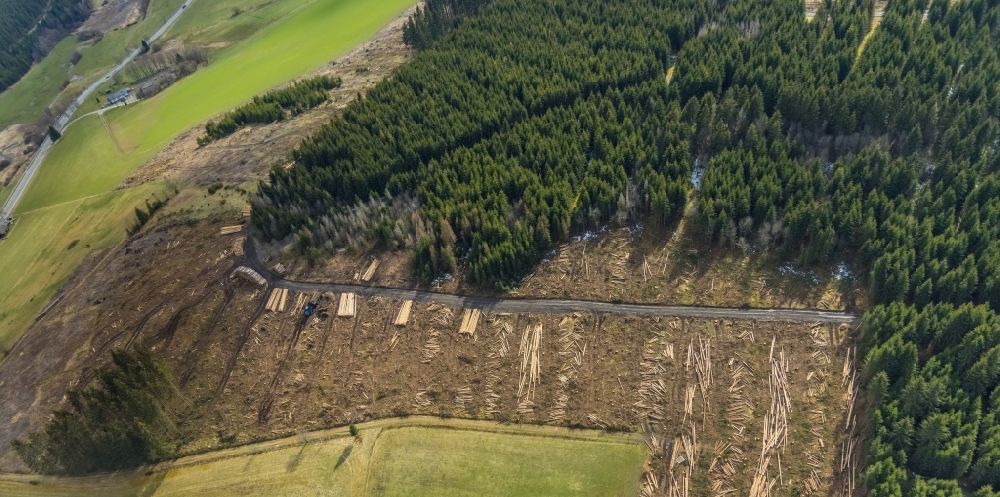 Luftbild Erndtebrück - Kahle Fläche eines gerodeten Waldbestandes in Erndtebrück im Bundesland Nordrhein-Westfalen, Deutschland