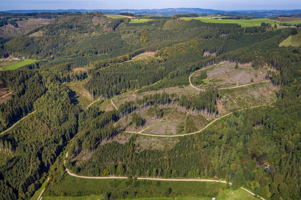 Finnentrop von oben - Kahle Fläche eines gerodeten Waldbestandes in Finnentrop im Bundesland Nordrhein-Westfalen, Deutschland