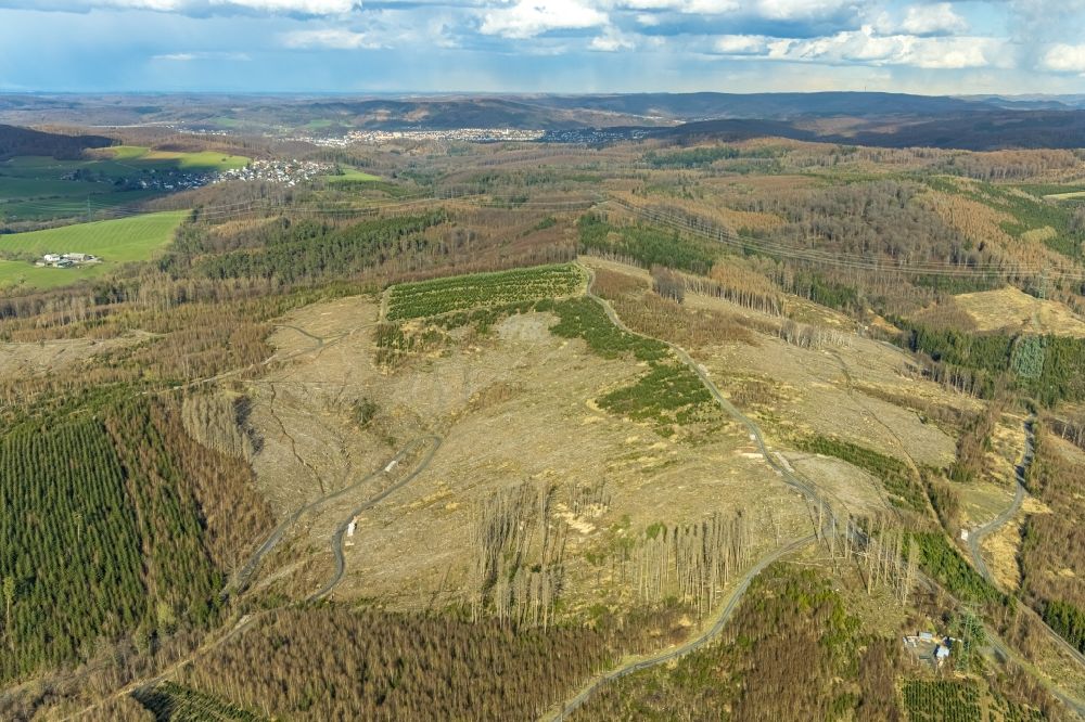Hachen von oben - Kahle Fläche eines gerodeten Waldbestandes in Hachen im Bundesland Nordrhein-Westfalen, Deutschland