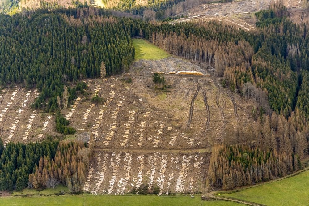 Luftbild Hesselbach - Kahle Fläche eines gerodeten Waldbestandes in Hesselbach im Bundesland Nordrhein-Westfalen, Deutschland
