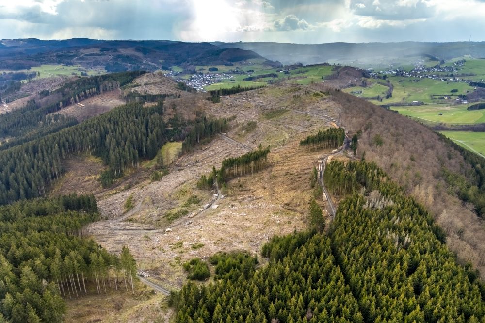 Luftbild Holzhausen - Kahle Fläche eines gerodeten Waldbestandes in Holzhausen im Bundesland Nordrhein-Westfalen, Deutschland