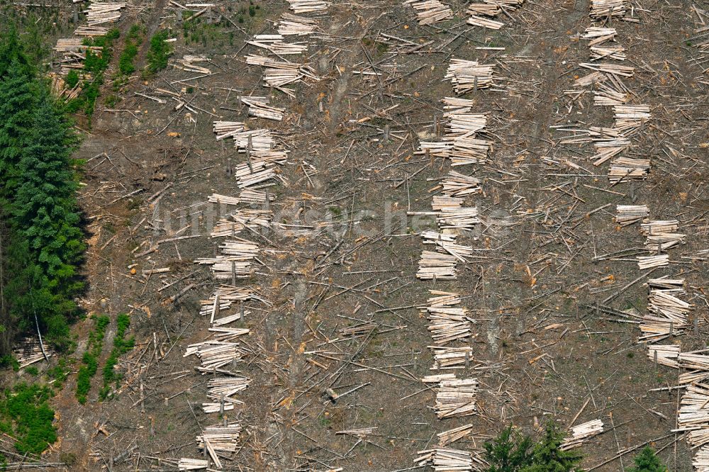 Arnsberg von oben - Kahle Fläche eines gerodeten Waldbestandes mit Holzstapeln zerschnittener Baumstämme in Arnsberg im Bundesland Nordrhein-Westfalen, Deutschland