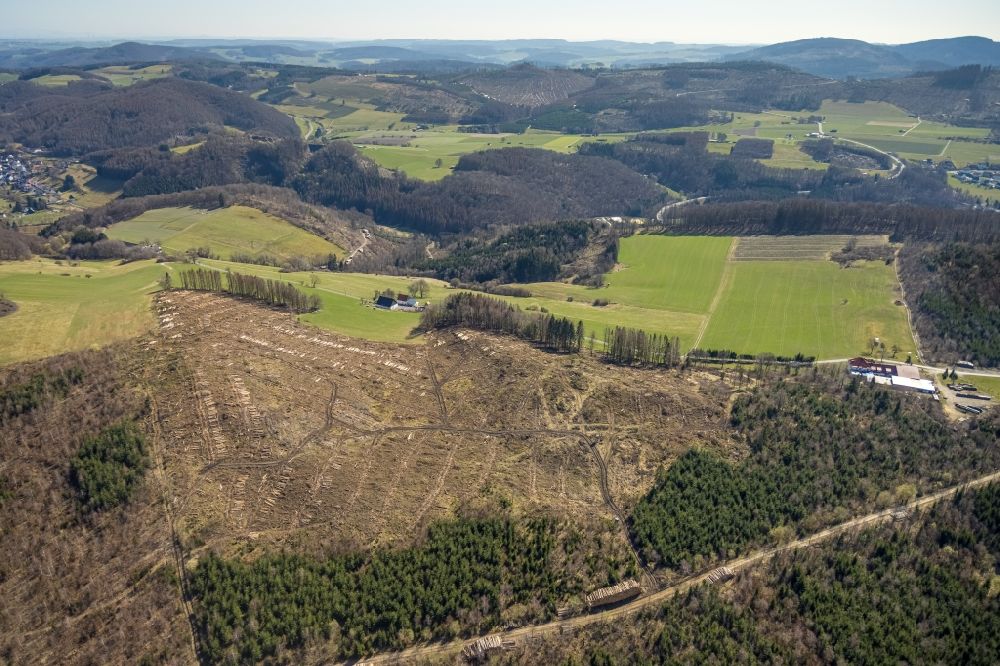 Hoppecke von oben - Kahle Fläche eines gerodeten Waldbestandes in Hoppecke im Bundesland Nordrhein-Westfalen, Deutschland