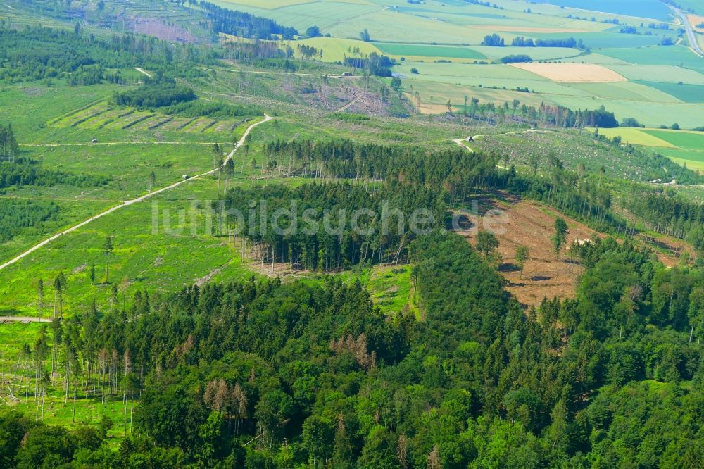 Kalefeld aus der Vogelperspektive: Kahle Fläche eines gerodeten Waldbestandes in Kalefeld im Bundesland Niedersachsen, Deutschland