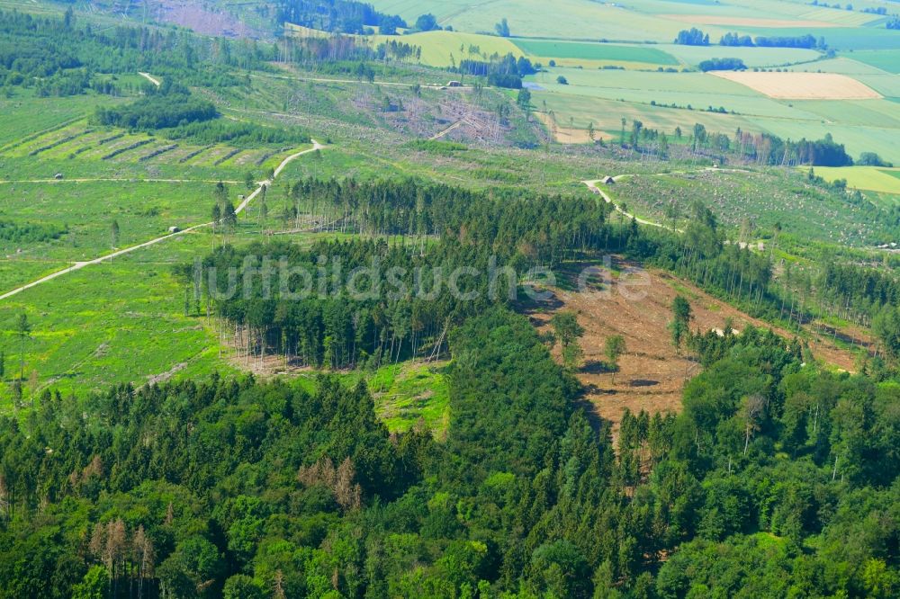 Luftbild Kalefeld - Kahle Fläche eines gerodeten Waldbestandes in Kalefeld im Bundesland Niedersachsen, Deutschland