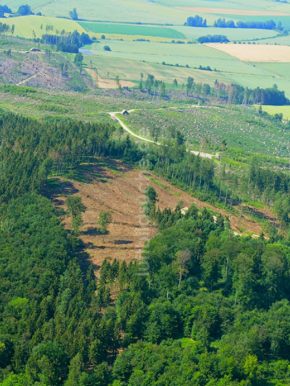 Luftaufnahme Kalefeld - Kahle Fläche eines gerodeten Waldbestandes in Kalefeld im Bundesland Niedersachsen, Deutschland