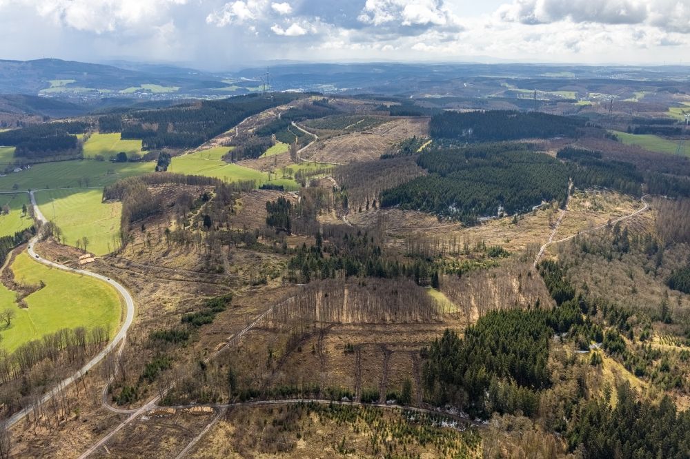 Luftbild Kruberg - Kahle Fläche eines gerodeten Waldbestandes auf dem Kihlenberg in Kruberg im Bundesland Nordrhein-Westfalen, Deutschland