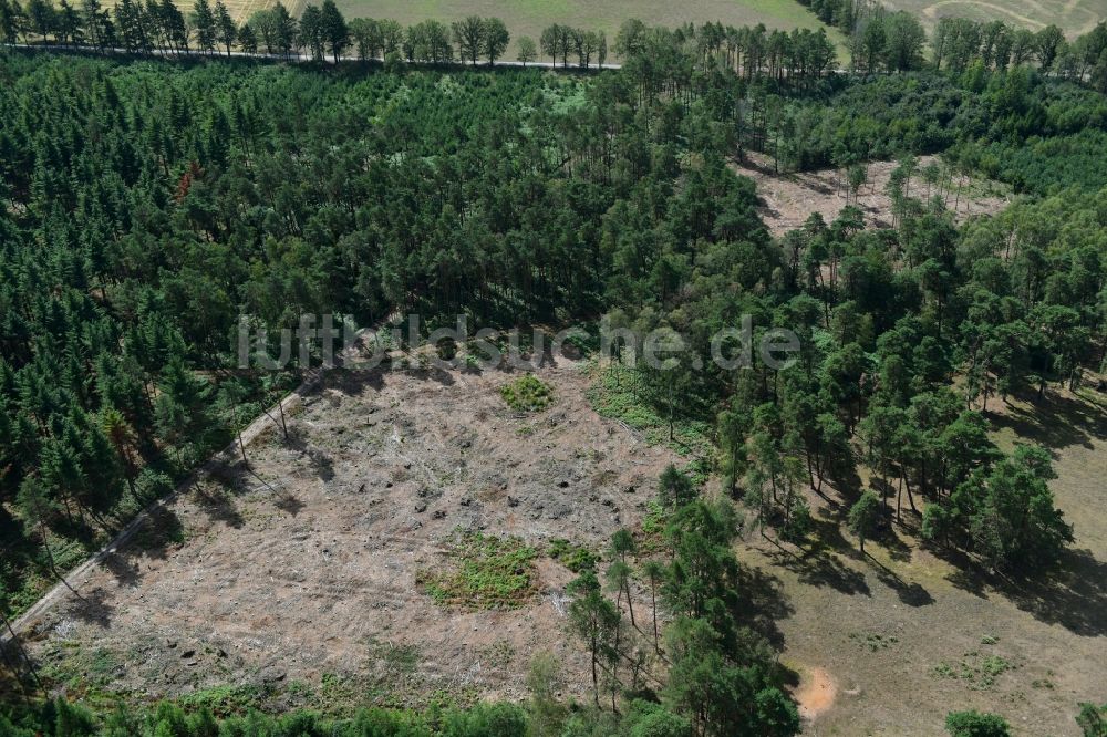 Luftbild Kletzke - Kahle Fläche eines gerodeten Waldbestandes in Kletzke im Bundesland Brandenburg, Deutschland