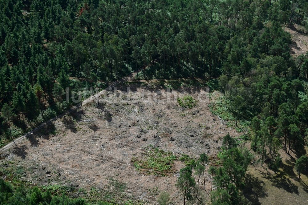 Luftaufnahme Kletzke - Kahle Fläche eines gerodeten Waldbestandes in Kletzke im Bundesland Brandenburg, Deutschland