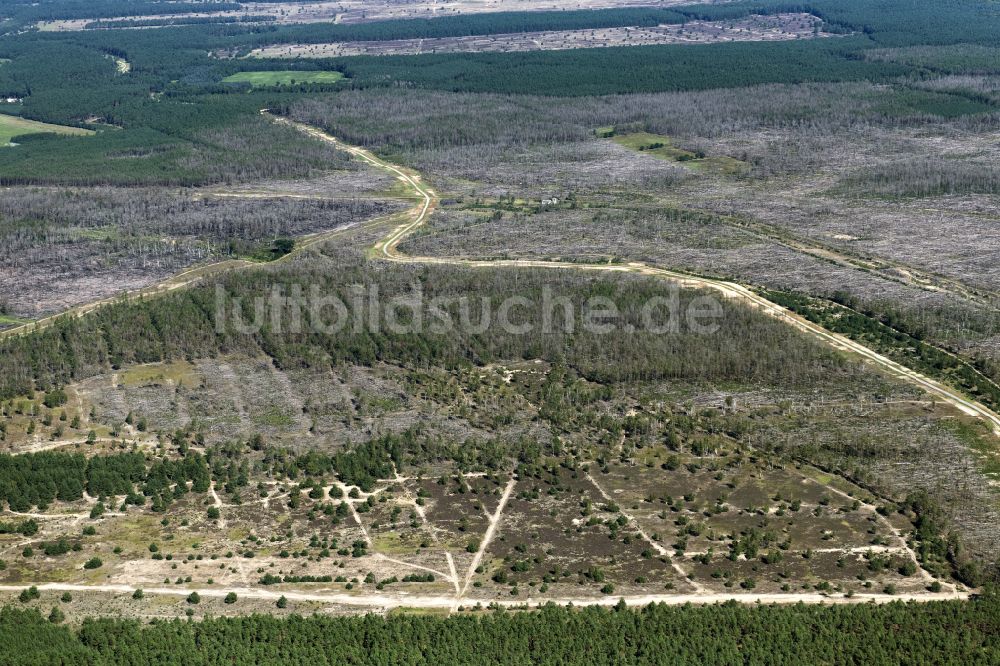 Luftaufnahme Lübtheen - Kahle Fläche eines gerodeten Waldbestandes in Lübtheen im Bundesland Mecklenburg-Vorpommern, Deutschland