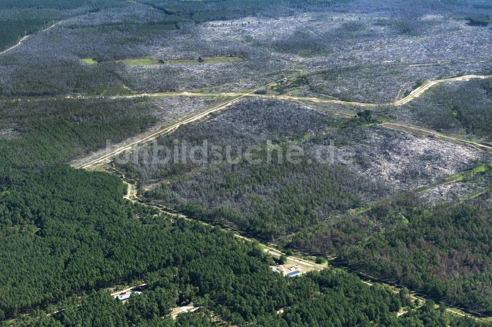 Luftbild Lübtheen - Kahle Fläche eines gerodeten Waldbestandes in Lübtheen im Bundesland Mecklenburg-Vorpommern, Deutschland