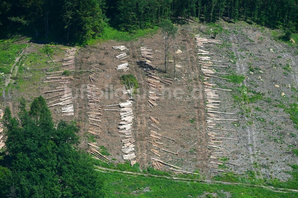 Luftbild Lemgo - Kahle Fläche eines gerodeten Waldbestandes in Lemgo im Bundesland Nordrhein-Westfalen, Deutschland