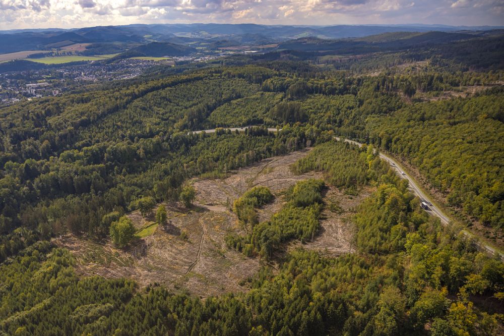 Luftaufnahme Meschede - Kahle Fläche eines gerodeten Waldbestandes in Meschede im Bundesland Nordrhein-Westfalen, Deutschland