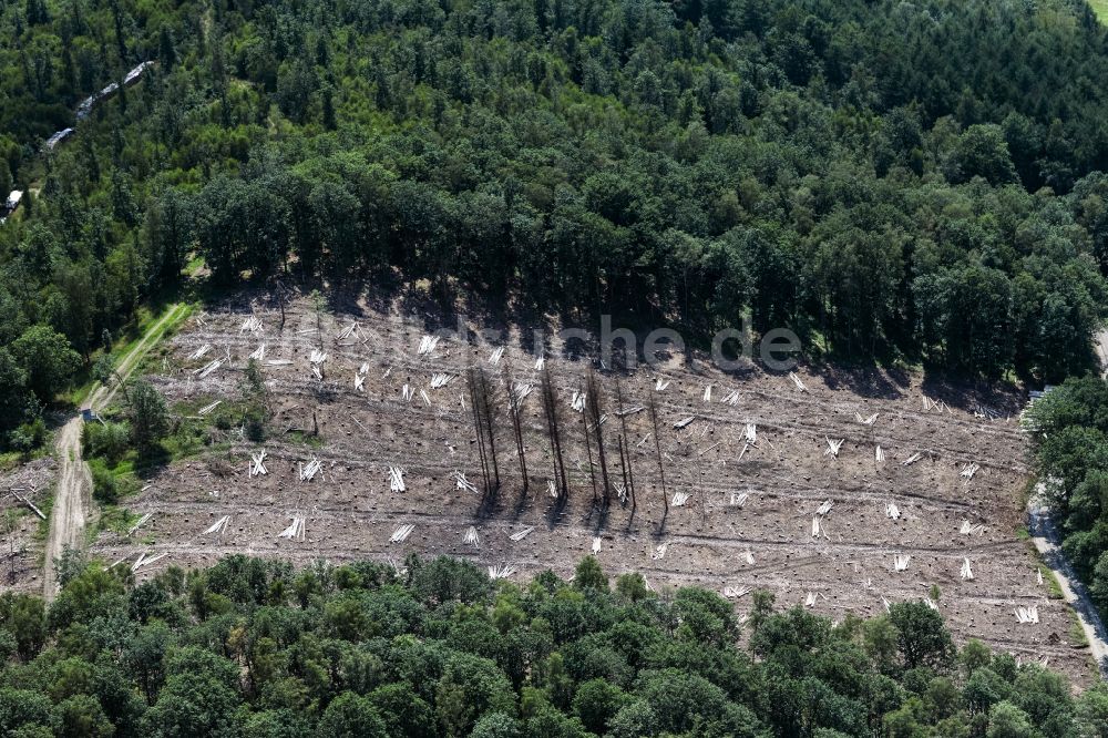 Luftaufnahme Netphen - Kahle Fläche eines gerodeten Waldbestandes in Netphen im Bundesland Nordrhein-Westfalen, Deutschland