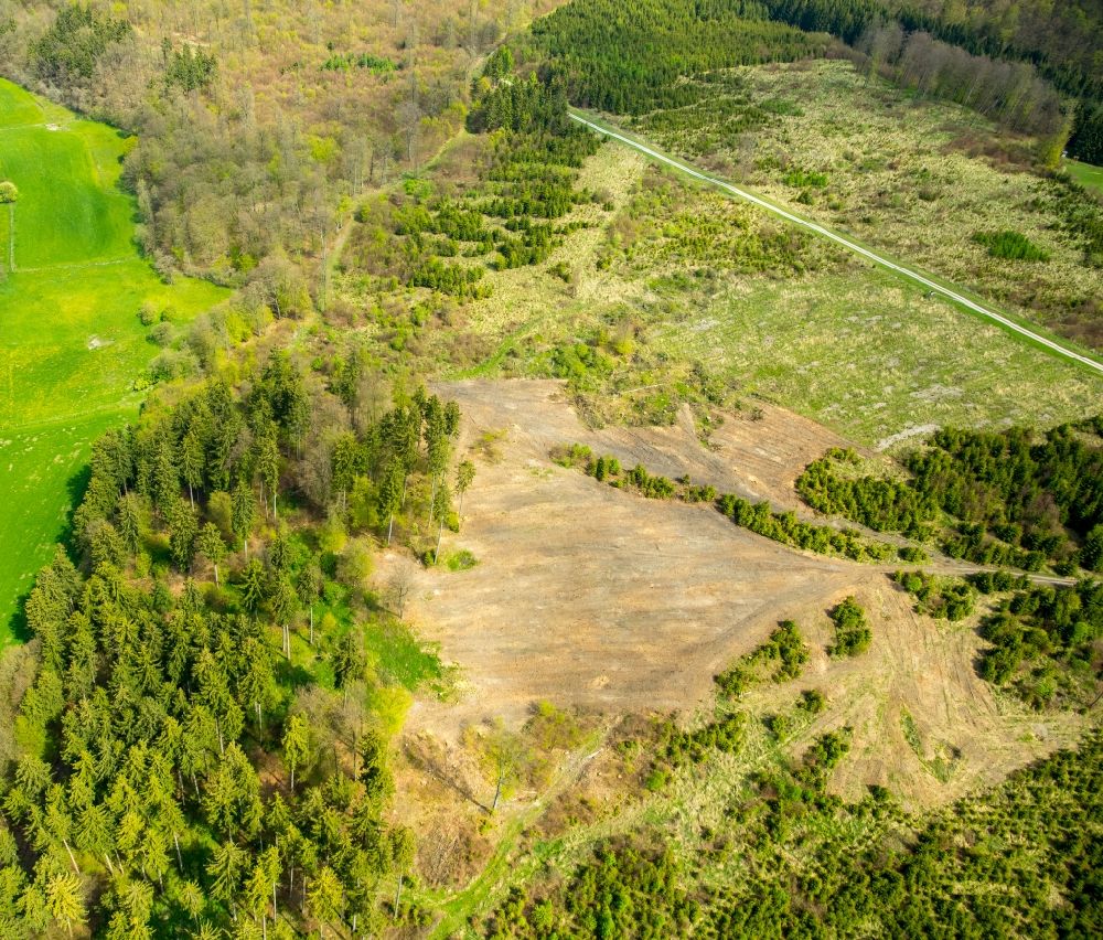 Luftbild Brilon - Kahle Fläche eines gerodeten Waldbestandes in der Nähe von Alme in Brilon im Bundesland Nordrhein-Westfalen, Deutschland