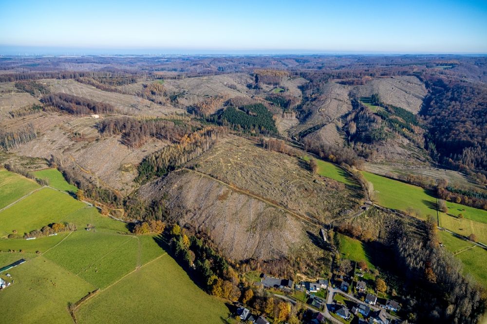 Oeventrop von oben - Kahle Fläche eines gerodeten Waldbestandes in Oeventrop im Bundesland Nordrhein-Westfalen, Deutschland