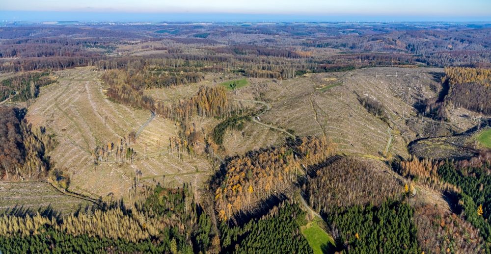 Luftbild Oeventrop - Kahle Fläche eines gerodeten Waldbestandes in Oeventrop im Bundesland Nordrhein-Westfalen, Deutschland